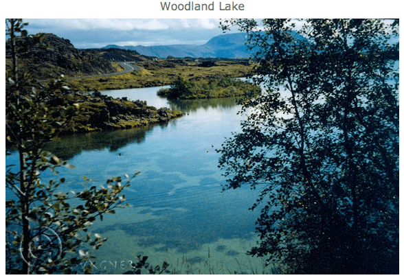 Screenshot 2015-06-09 17.22.36