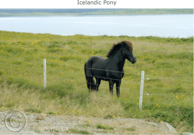 Screenshot 2015-06-19 12.28.24