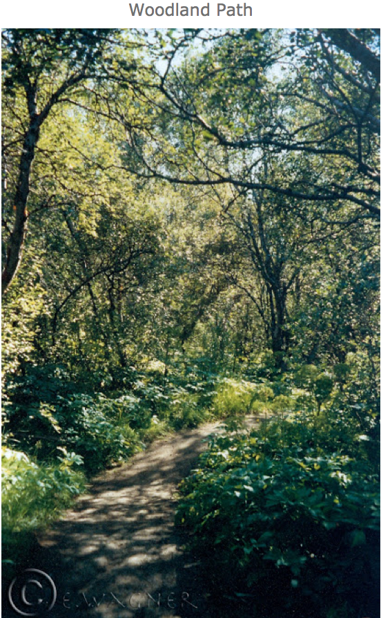 Screenshot 2015-06-19 12.29.30