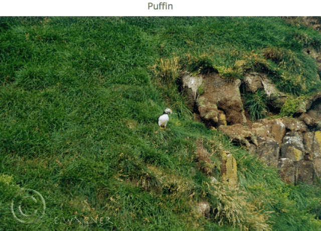 Screenshot 2015-06-19 12.31.08