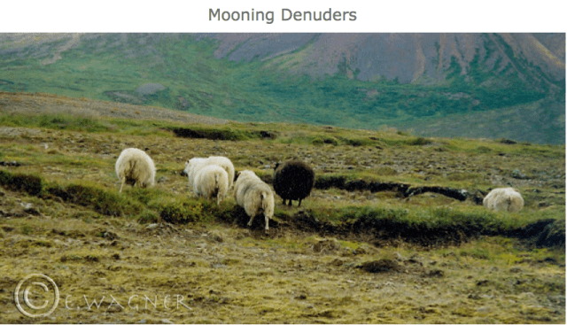 Screenshot 2015-06-19 12.31.38