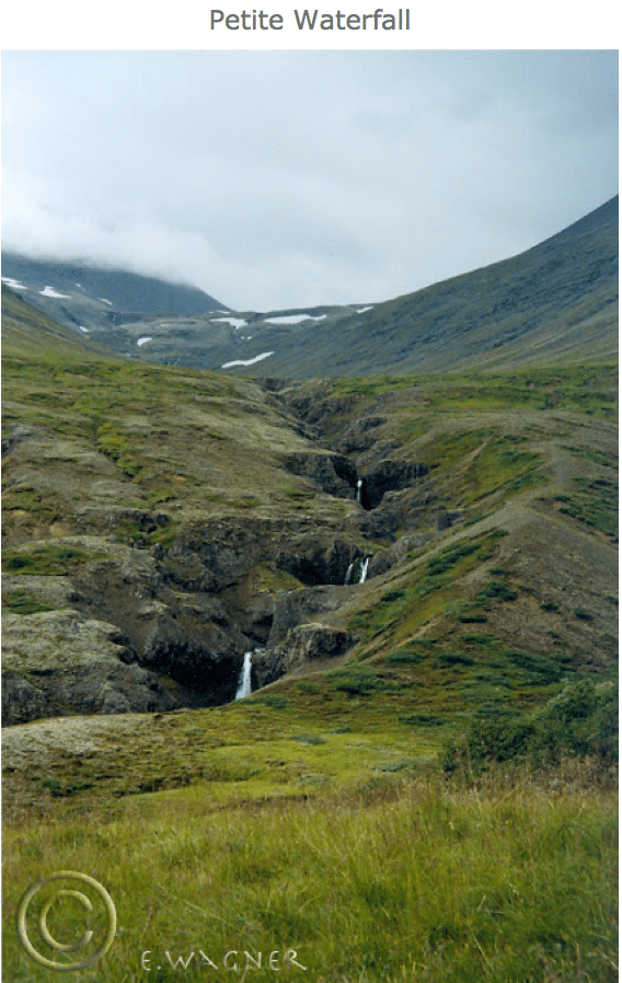 Screenshot 2015-06-19 12.31.51