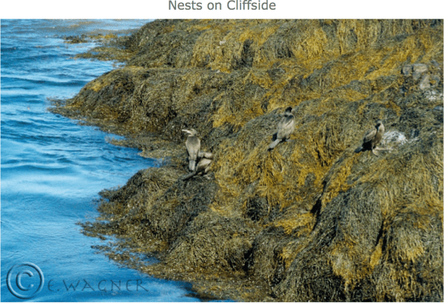 Screenshot 2015-06-19 13.27.27